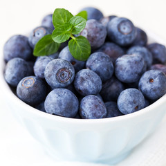 frische Heidelbeeren