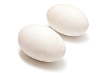 Goose eggs isolated on a white studio background.