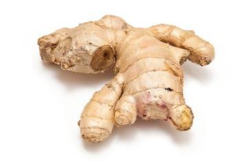 Root Ginger isolated on a white studio background.