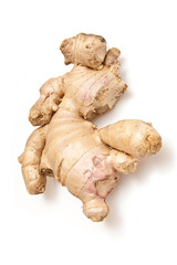 Root Ginger isolated on a white studio background.