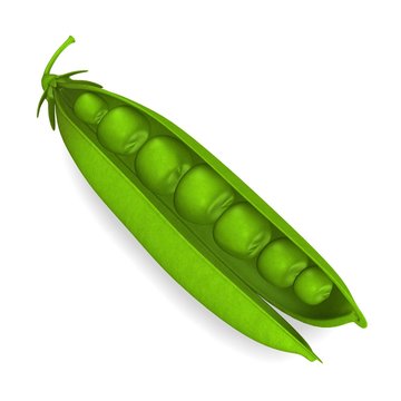 3d render of peas vegatable