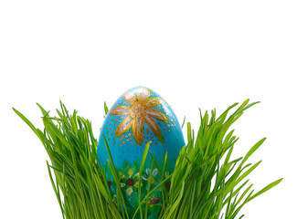 easter egg in green grass