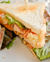 Sandwich
