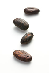 Fototapeta na wymiar cocoa beans
