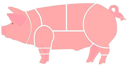 porco, peças de talho