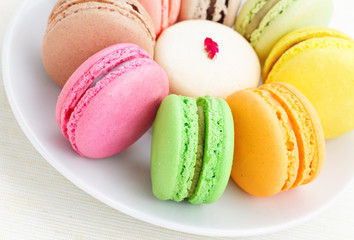 colorful macaroon