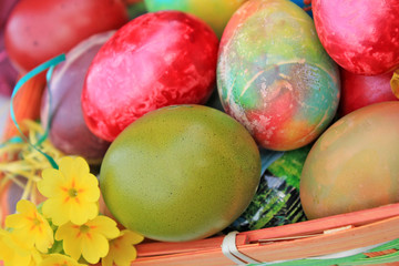 Close up of colorful painted easter eggs