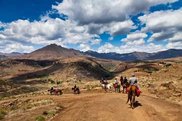 Foto op Canvas Pony trail avontuur in de bergen © pwollinga