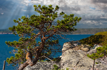 На Севере диком...