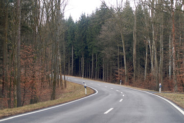 Landstrasse durch den Wald