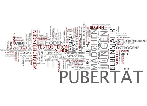 Pubert&auml;t