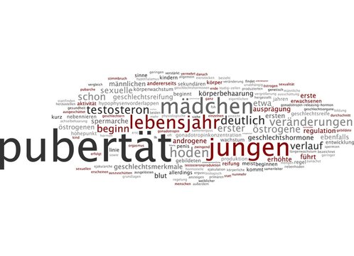 Pubert&auml;t