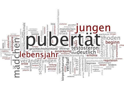 Pubert&auml;t