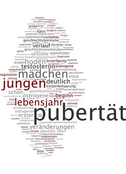 Pubert&auml;t