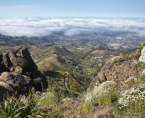 Fototapeta na wymiar Cumbre de Gran Canaria