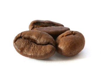 Three whole coffee beans detail on white background
