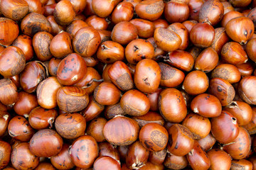 Chestnut