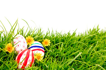 Easter Eggs with flower on Fresh Green Grass