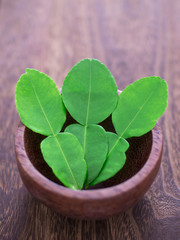 close up of a bowl of kaffir lime leaves