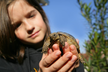 Young girl holding a turtle
