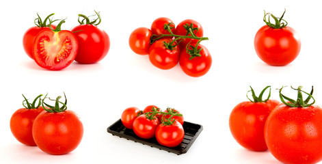 Collection of Tomatoes