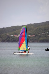 Fototapeta premium Voile