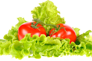 Tomato and salad leaf isolated on white background