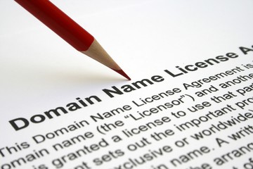 Domain name license agreement