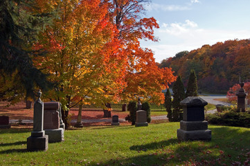 Colorful autumn trees