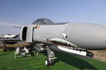 Fototapeta na wymiar Front view of a jet fighter