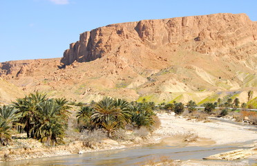 gorges de l'oued Selja 8 oasis
