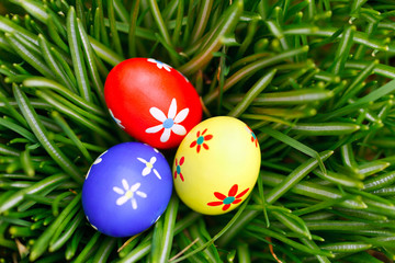 easter eggs in grass birds eye view