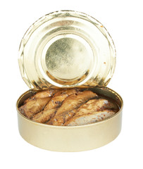 sprats