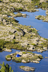 Tent in the wilderness, Tasmania, Australia