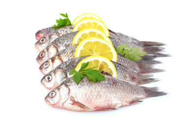 Fresh fishes with lemon and parsley isolated on white