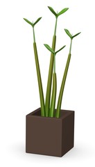 3d render of small plant