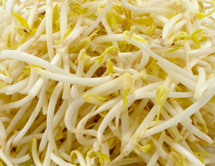 Close up of Bean Sprouts