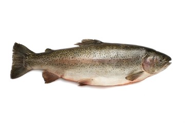 Trota