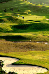 golf place with nice green - obrazy, fototapety, plakaty
