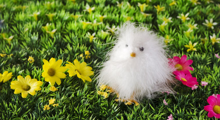 soft chick over easter background