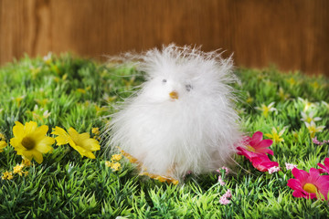 soft chick over easter background