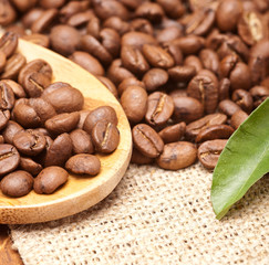 Coffee Beans