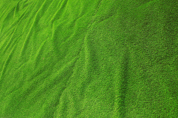 Fototapeta na wymiar Artificial Grass