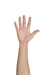 Five fingers of female hand