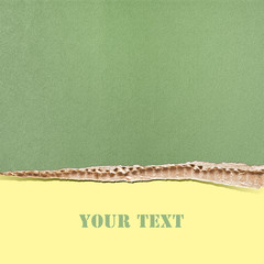 riped paper texture background