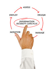 Diagram of information security lifecycle