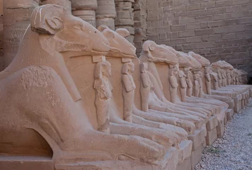 Foto auf Alu-Dibond Le temple de Karnak, Egypte. © CBH