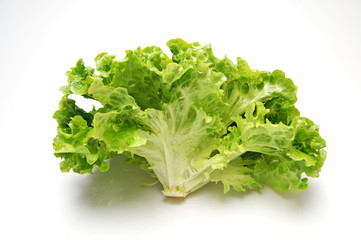Lettuce