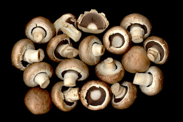 Champignons isolated on a black background