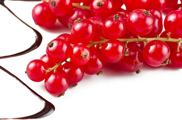 Red currant close up on the white